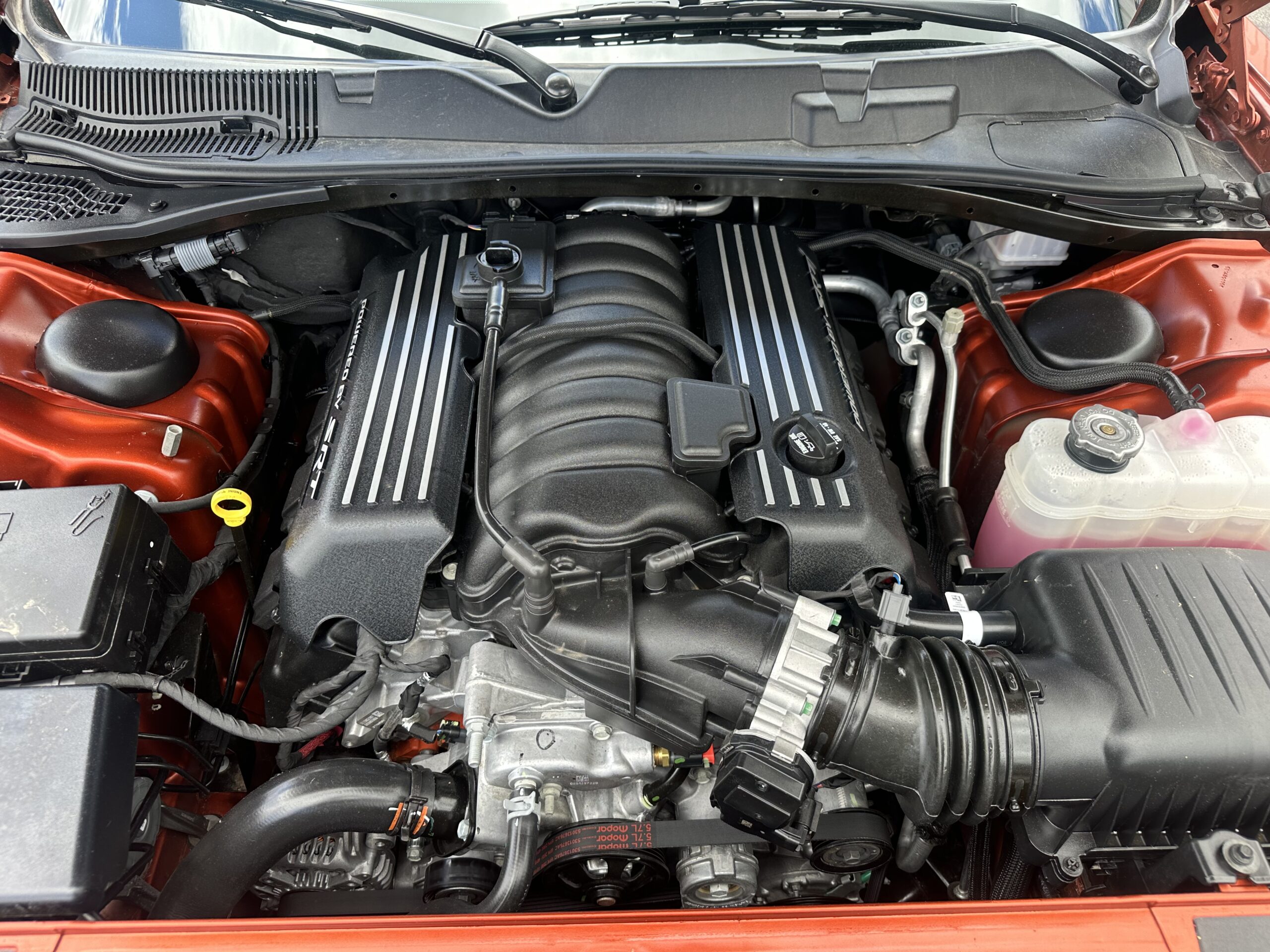 
								2023 Dodge Challenger R/T Scat Pack Wide Body 6 speed manual full									
